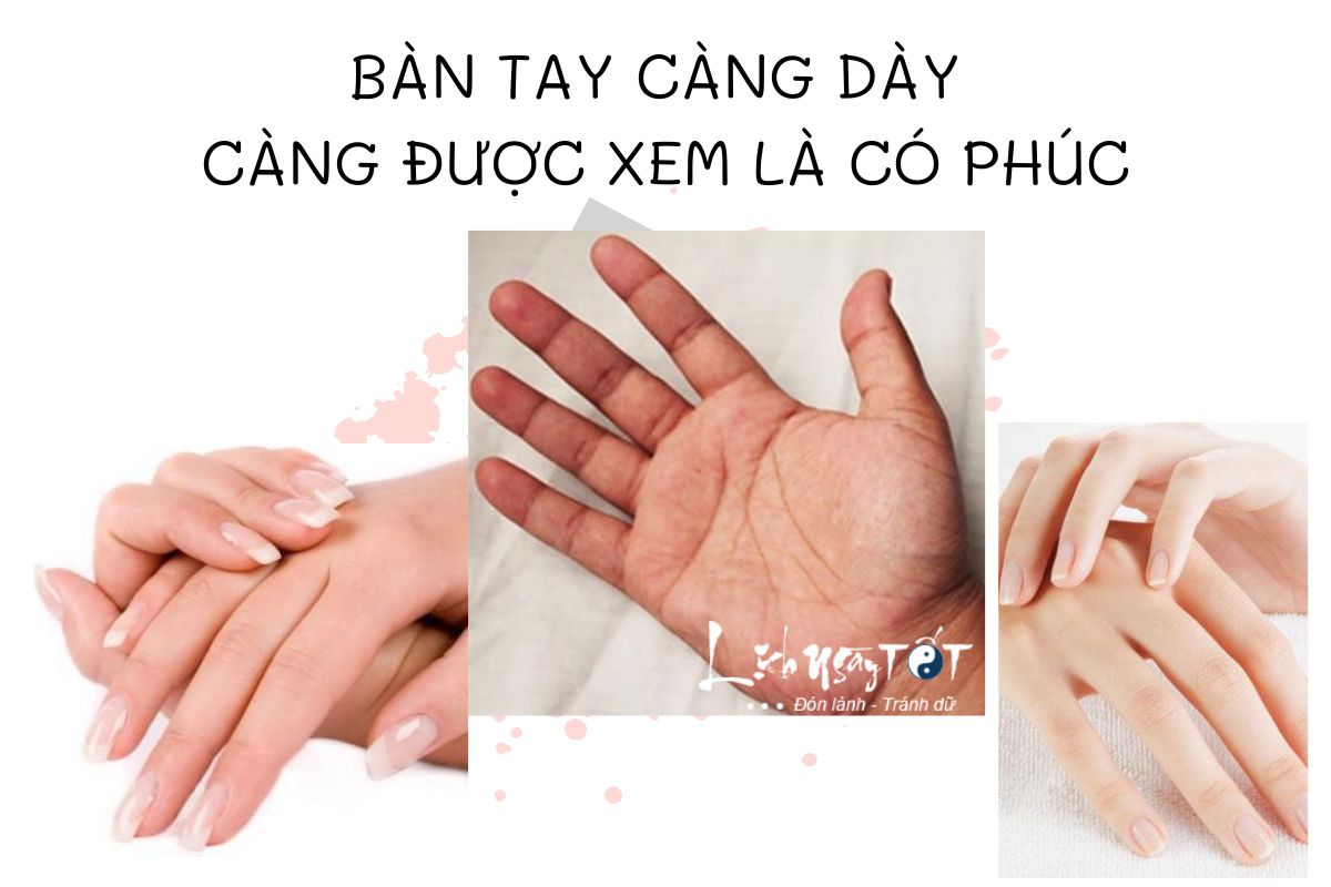 Tướng Bàn Tay Đầy Đặn: Ý Nghĩa và Sự Thịnh Vượng Gallery 1