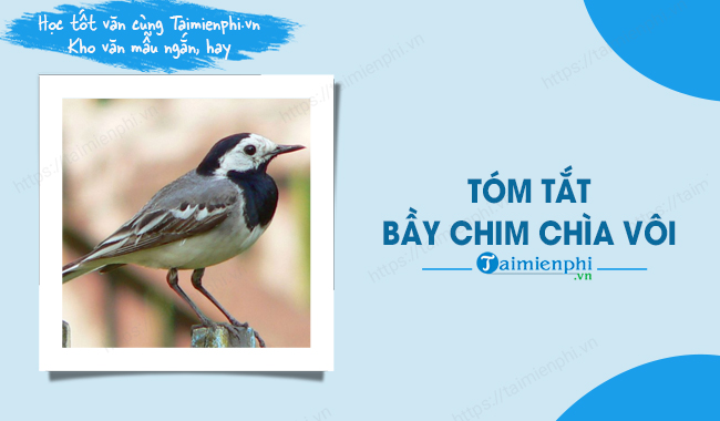 Tóm tắt văn bản Bầy chim chìa vôi Gallery 2