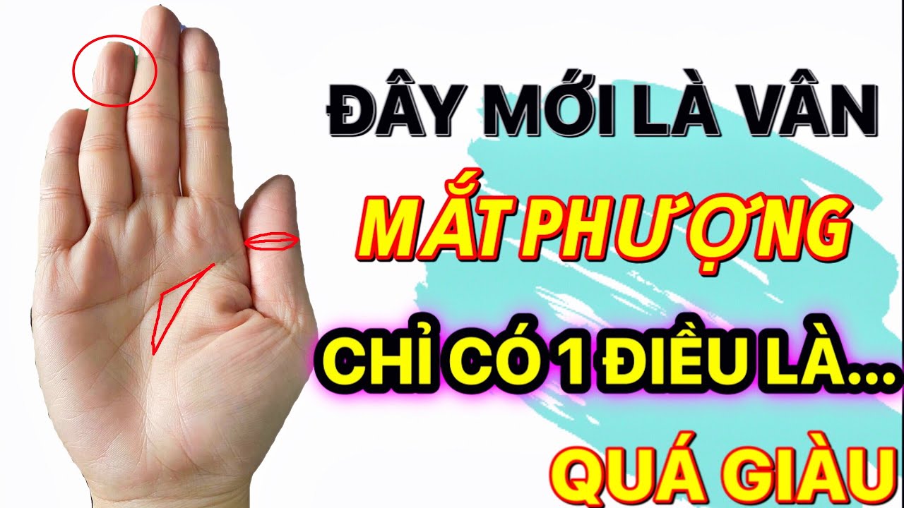 Vân Mắt Phượng Kép: Ý Nghĩa, Đặc Điểm Và Những Điều Thú Vị Gallery 2