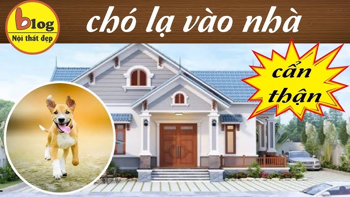 Chó vào nhà thì sang: Sự thật đằng sau quan niệm dân gian Gallery 1