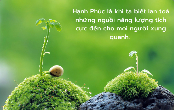 Lan Tỏa Năng Lượng Sống Tích Cực Cho Người Xung Quanh: Ý Nghĩa Và Cách Thức