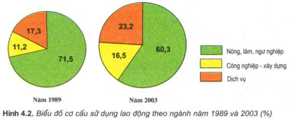 Cơ cấu lao động là gì? Phân tích chi tiết về cơ cấu lao động Gallery 2