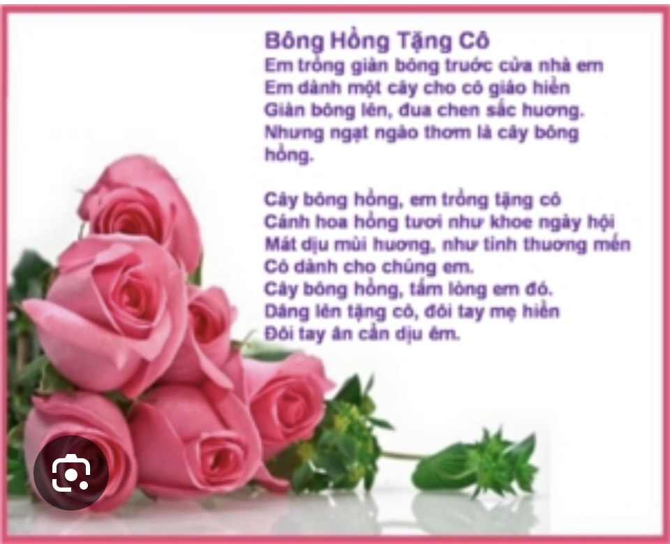 Bông Hồng Tặng Cô Gallery 1