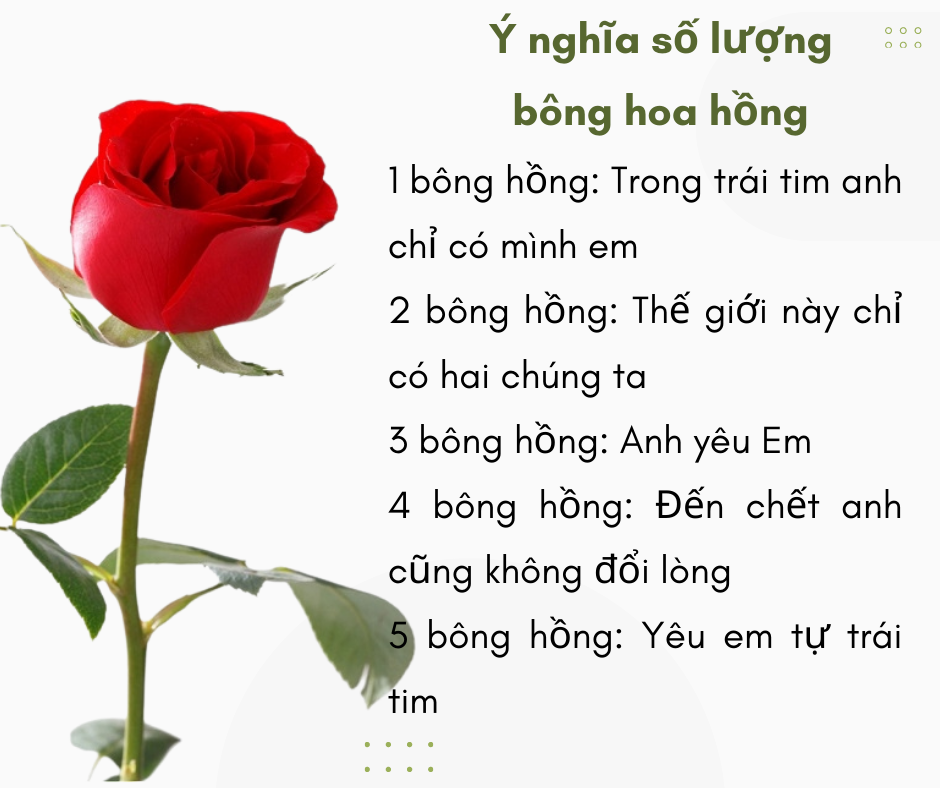 Một Bông Hồng Cho Em Gallery 1