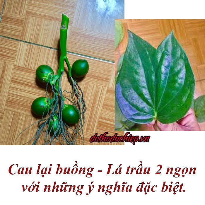 Thắp Hương Cau Lại Buồng Gallery 1
