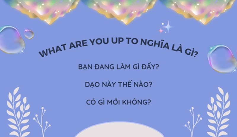 What are you up to là gì? Gallery 1