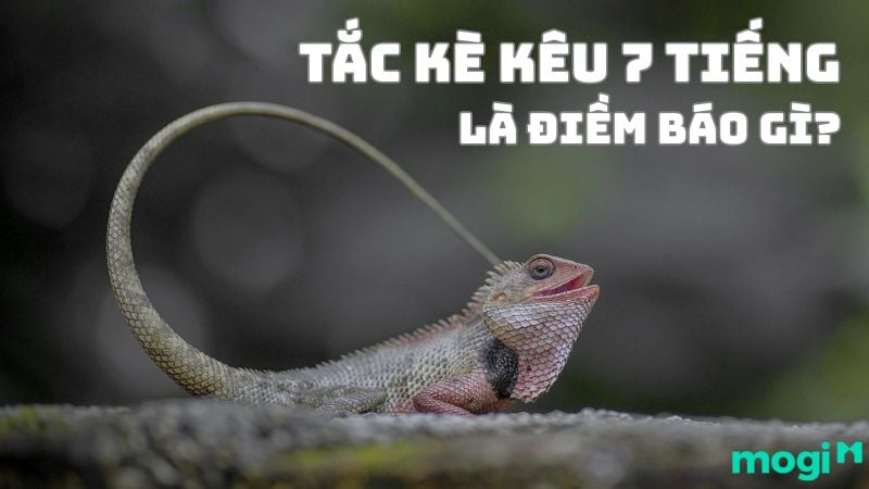 Tạc Kê Kêu 7 Tiếng: Bí Ẩn Và Ý Nghĩa Gallery 1