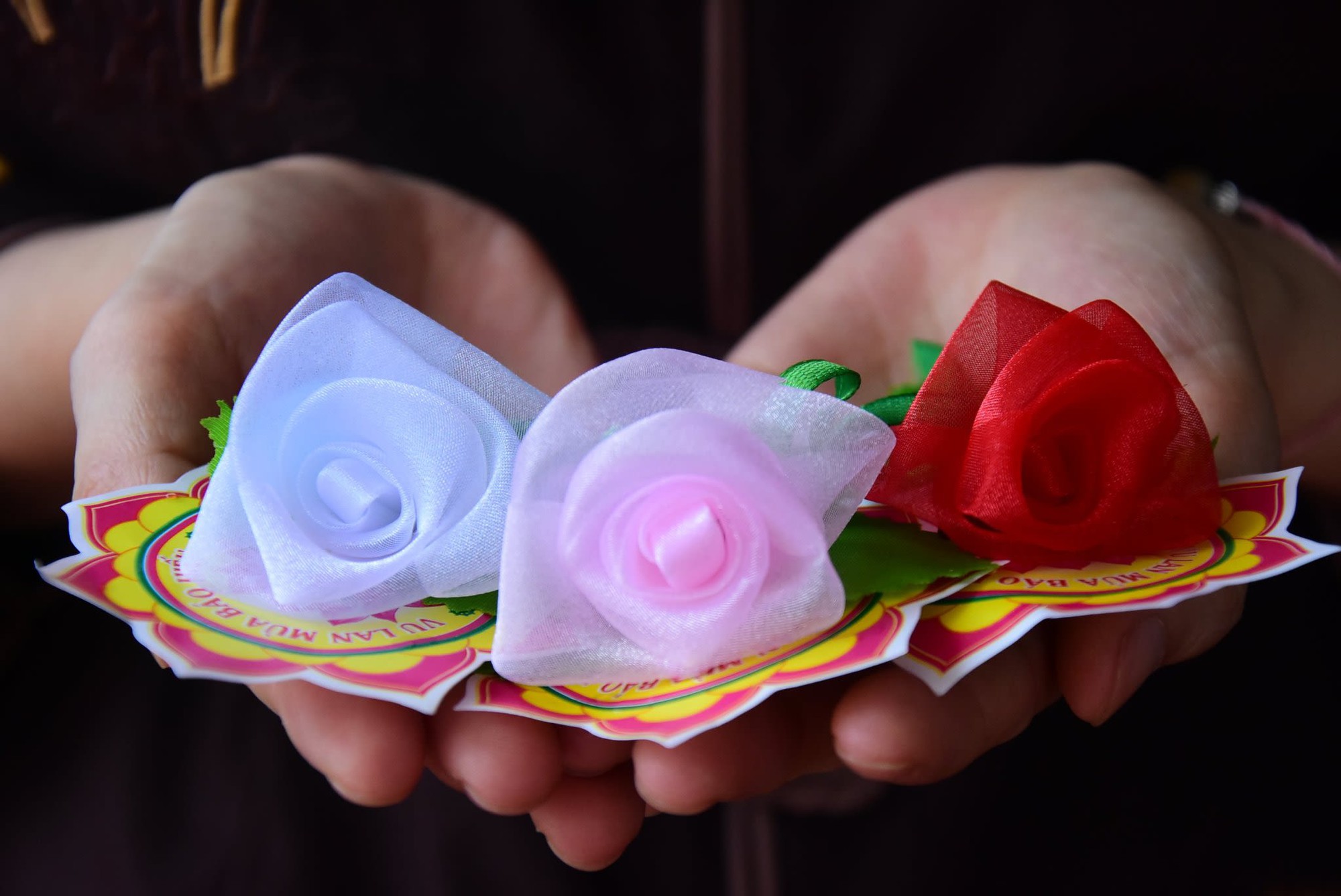 Ý Nghĩa Bông Hồng Cài Áo Gallery 1