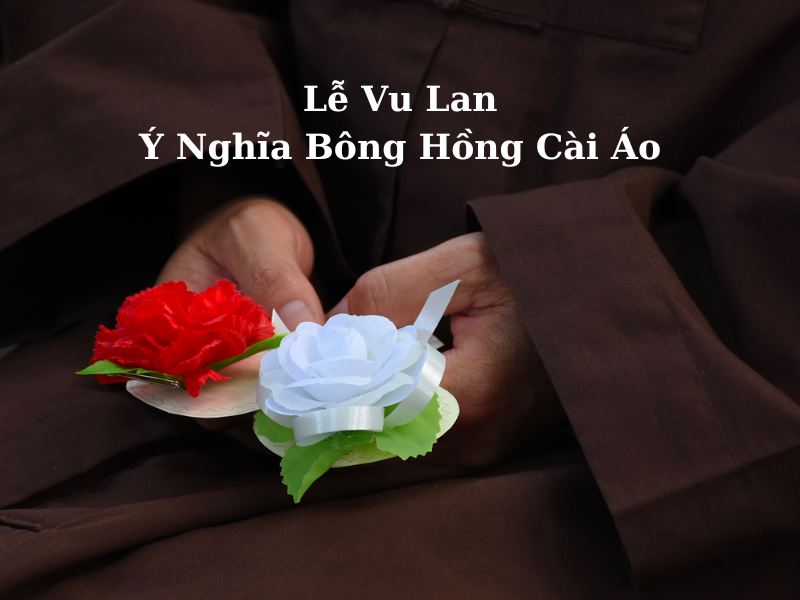 Ý Nghĩa Bông Hồng Cài Áo Gallery 2