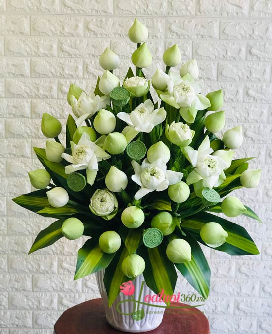 Hoa Sen Dâng Phật: Ý Nghĩa và Nghi Lễ Gallery 1