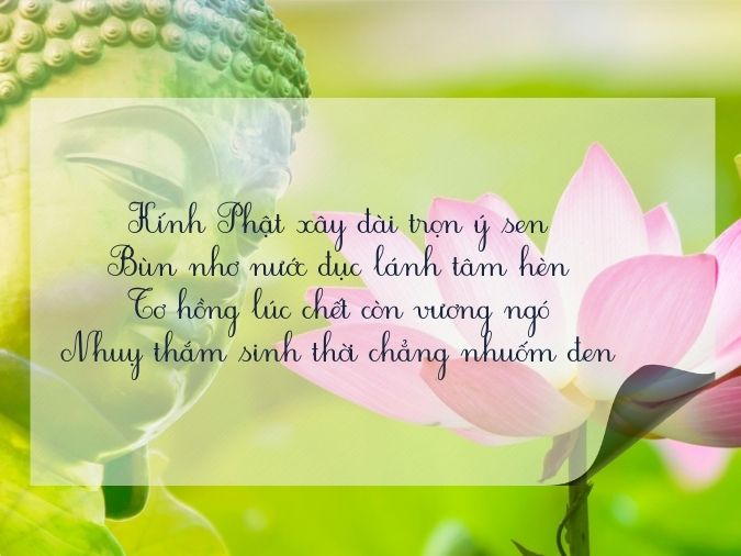 Thơ về Hoa Sen Phật Giáo: Tinh Hoa Phật Pháp trong Mỗi Cánh Hoa Gallery 1