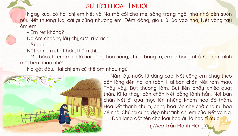 Sự tích hoa Tỉ Muội Gallery 2