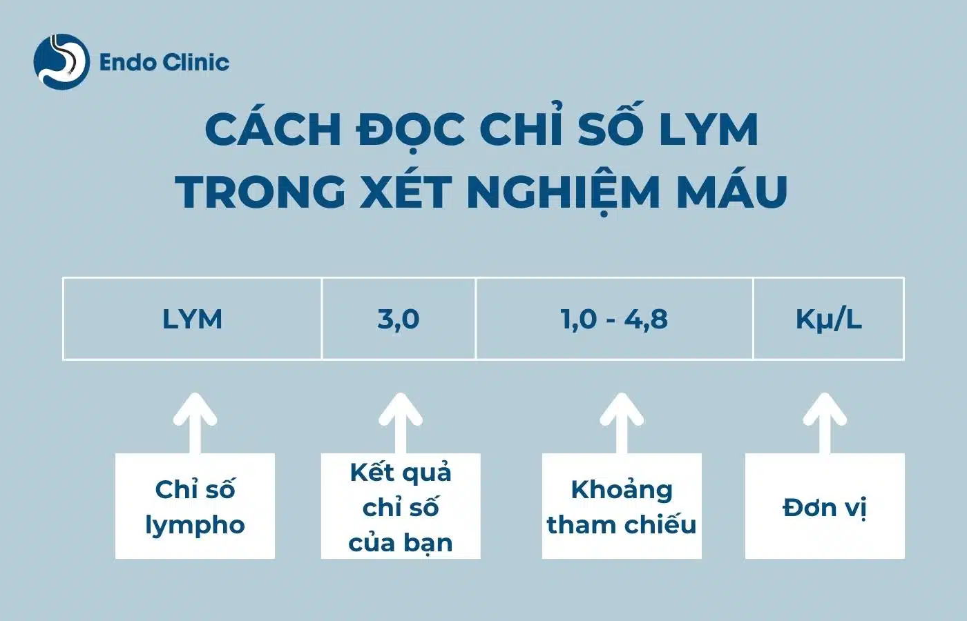 Chỉ số Lym là gì? Gallery 2