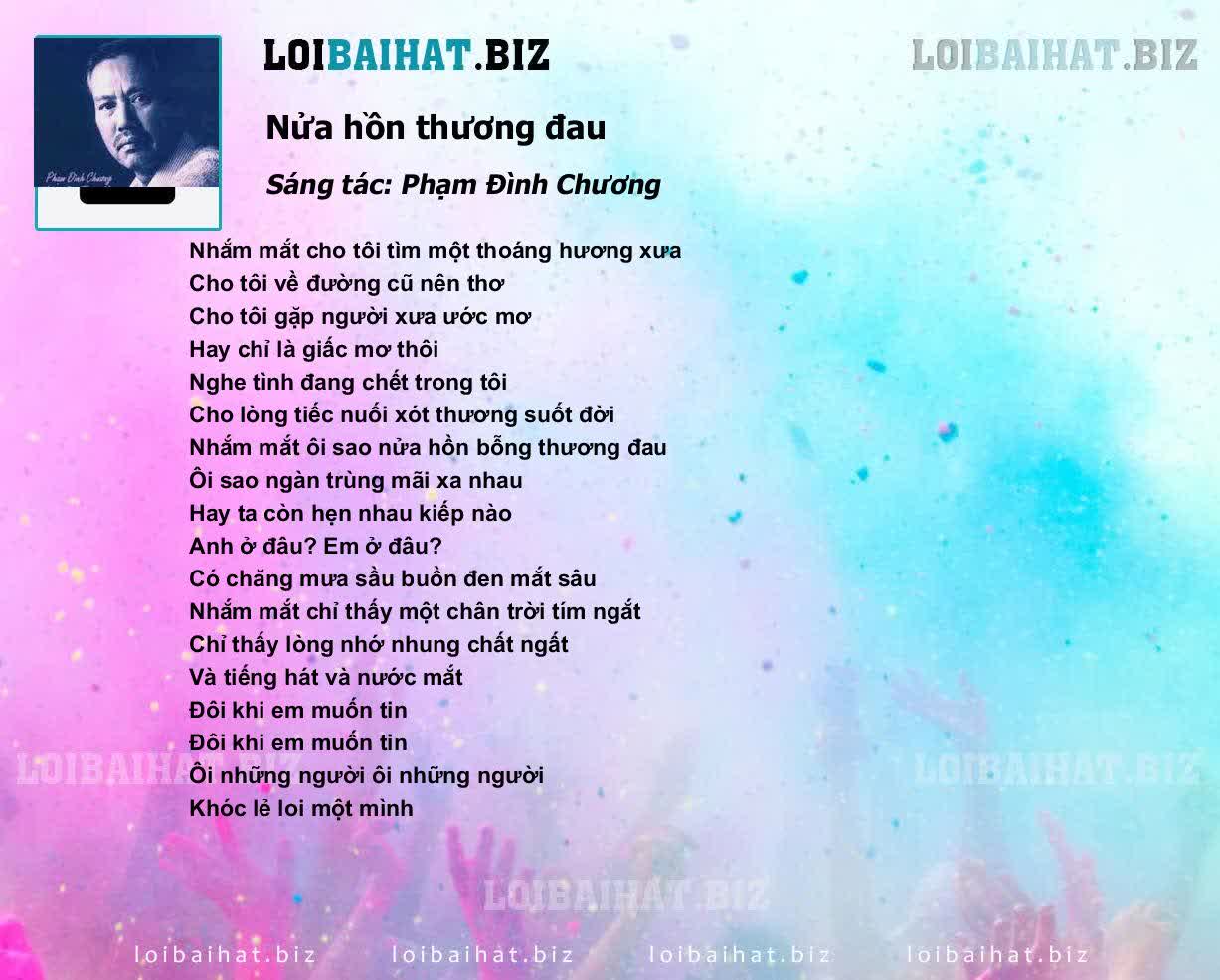 Lời Bài Hát Nửa Hồn Thương Đau Gallery 1