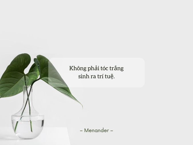 Những Câu Nói Hay Về Màu Trắng Gallery 1