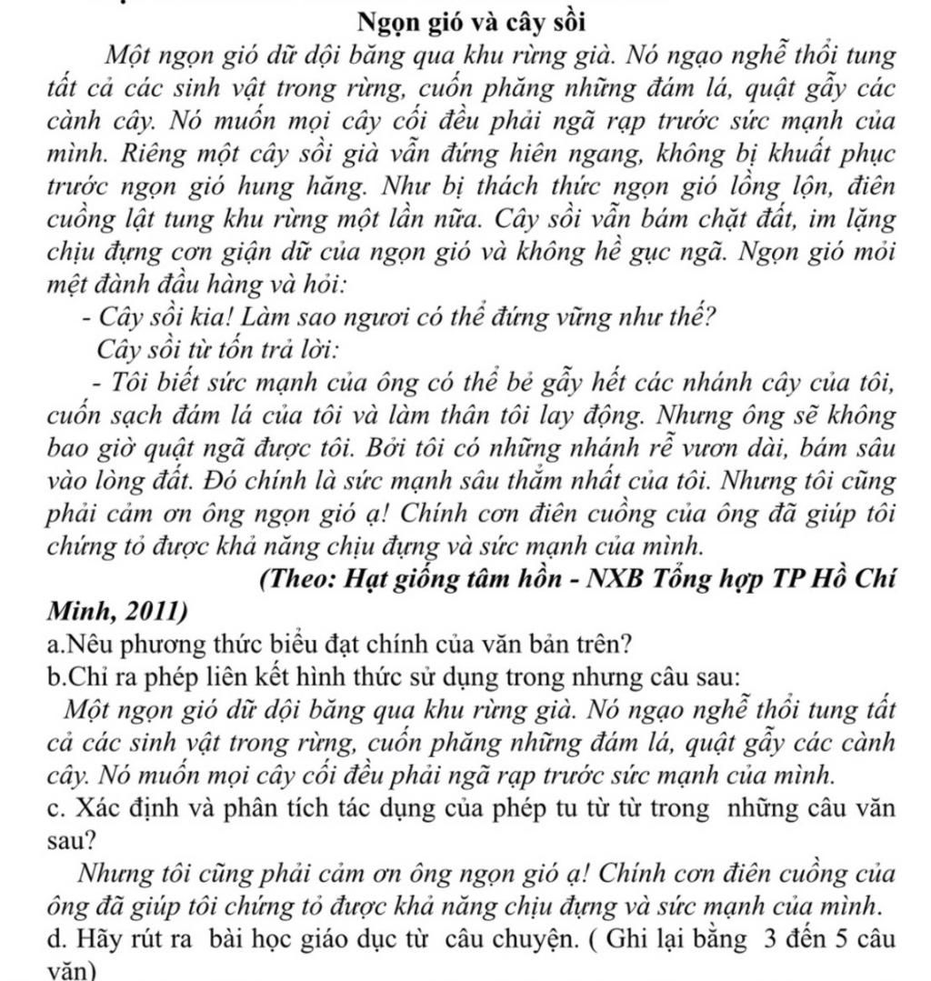 Ngọn Gió và Cây Sồi Gallery 1
