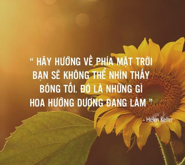 Hãy hướng về phía mặt trời, bóng tối sẽ khuất sau lưng bạn Gallery 1
