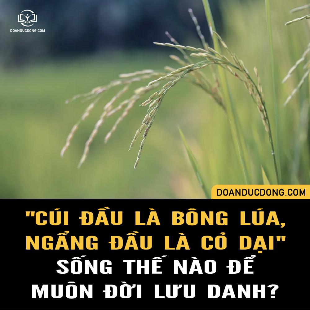 Ngẩng Đầu Là Cỏ Dại Gallery 1