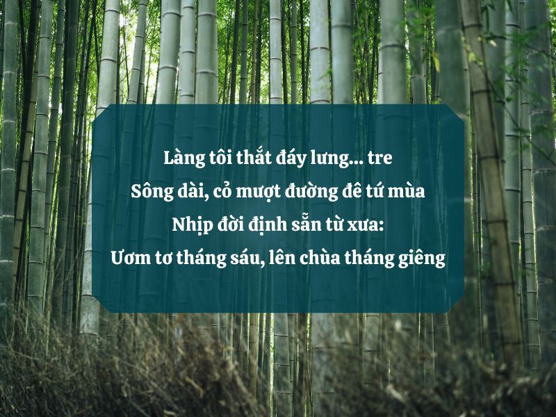 Thơ về cây Tre - Biểu tượng kiên trung của dân tộc Gallery 2