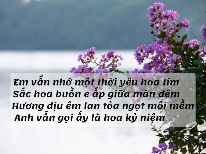 Thơ Về Hoa Tím Gallery 2