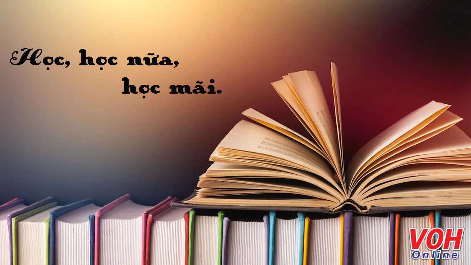 Học Học Nữa Học Mãi Gallery 1