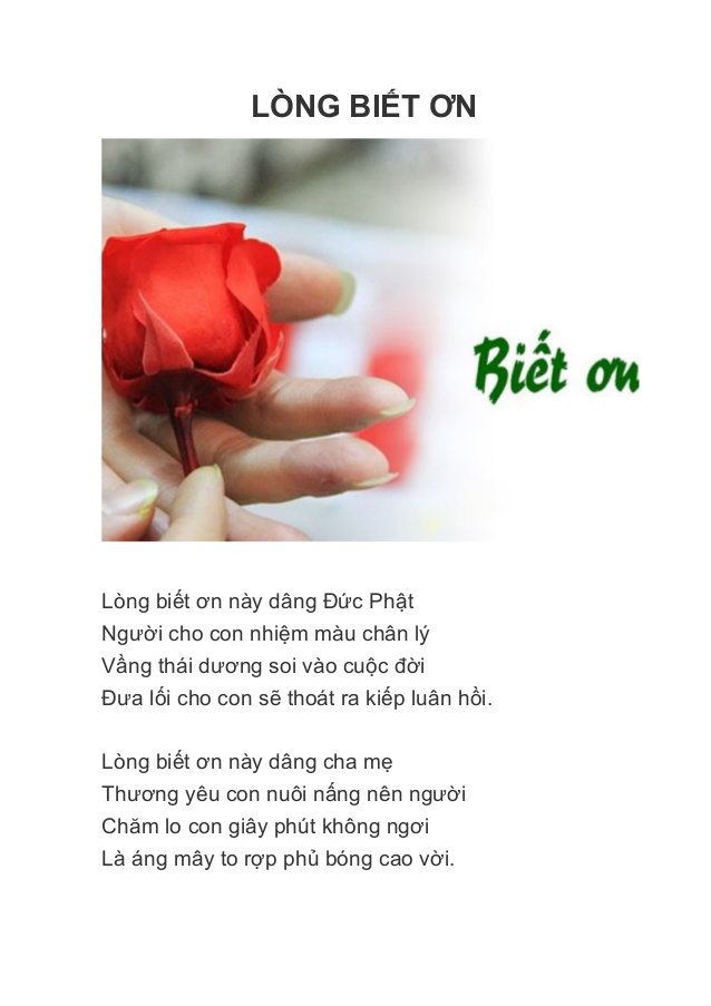 Lòng Biết Ơn: Nguồn Cội Của Hạnh Phúc và Thành Công Gallery 1