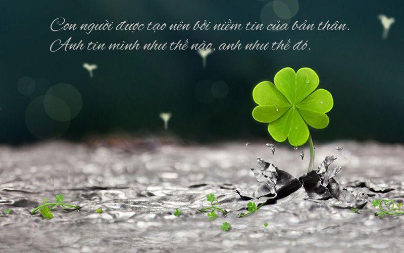 Slogan Hay Về Niềm Tin: Khơi Nguồn Sức Mạnh Từ Tâm Tín Gallery 1