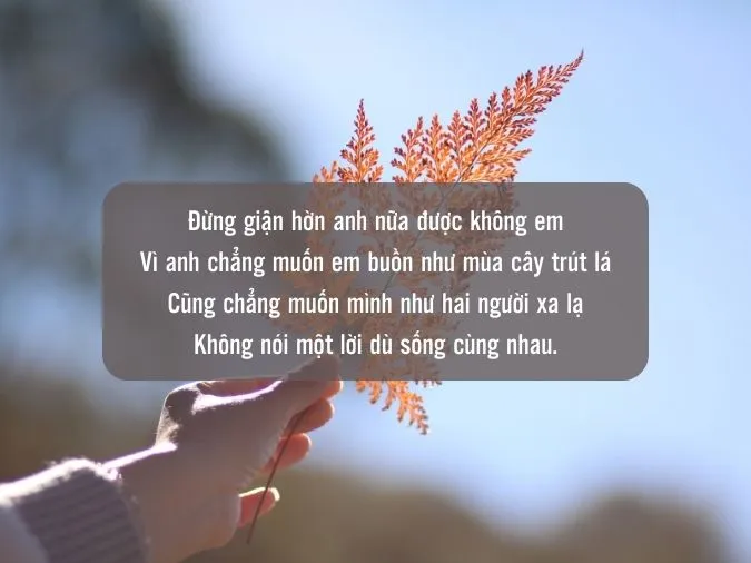 Giận Hờn Chi Nữa Bến Sông Buồn Gallery 1