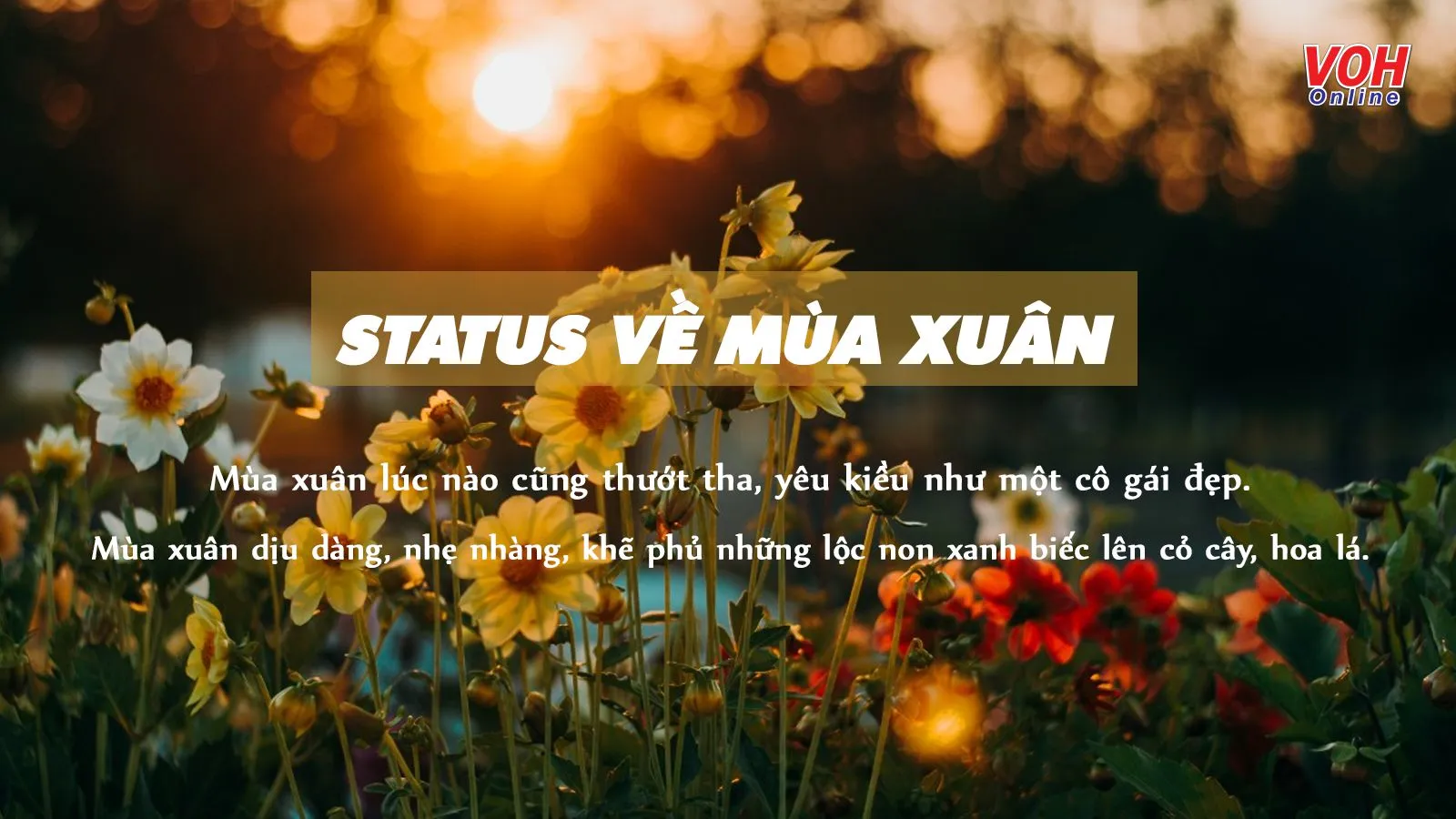 Anh Là Mùa Xuân Của Em Gallery 1