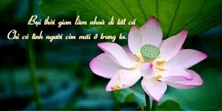 Có Tâm Ắt Có Tâm Nghĩa Là Gì? Gallery 1