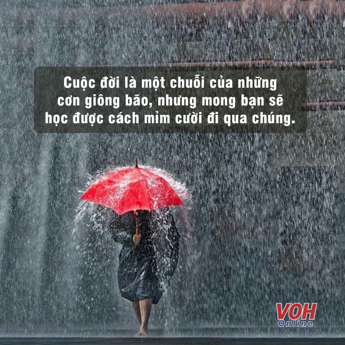 Dù đời này bao nhiêu bão giông Gallery 1