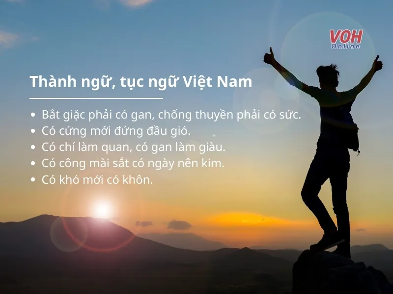 Mong Anh Chân Cứng Đá Mềm Đường Xa Không Mỏi