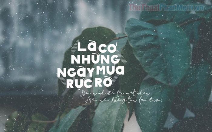 Nắng Mưa Là Chuyện Của Trời Gallery 1