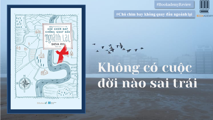 Chú Chim Bay Không Quay Đầu Ngoảnh Lại Gallery 1
