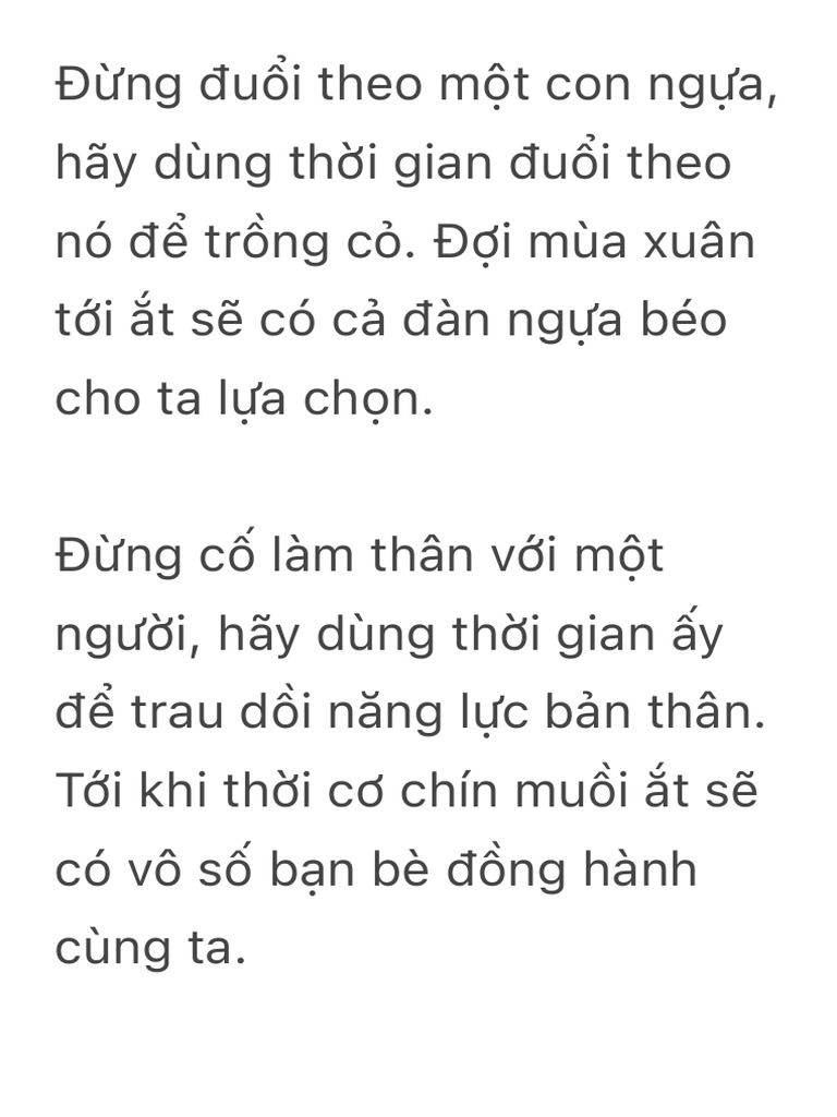 Đừng Cố Đuổi Theo Một Con Ngựa Gallery 1