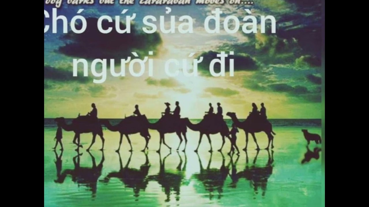 Chó Vẫn Sủa Và Đoàn Người Vẫn Đi Gallery 1