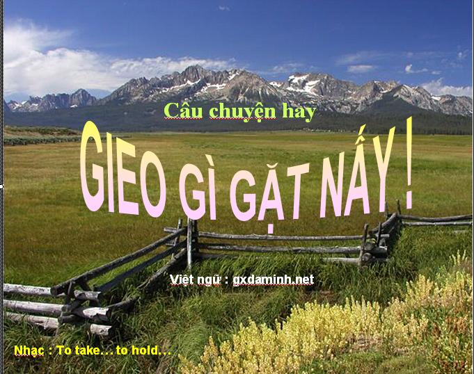 Gieo gì gặt đó Gallery 1