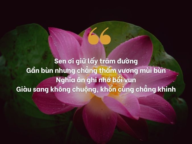 Ý nghĩa bài ca dao Trong đầm gì đẹp bằng sen Gallery 2
