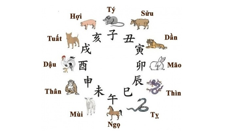 Số Theo Con Giáp Và Ý Nghĩa Của Chúng Gallery 1