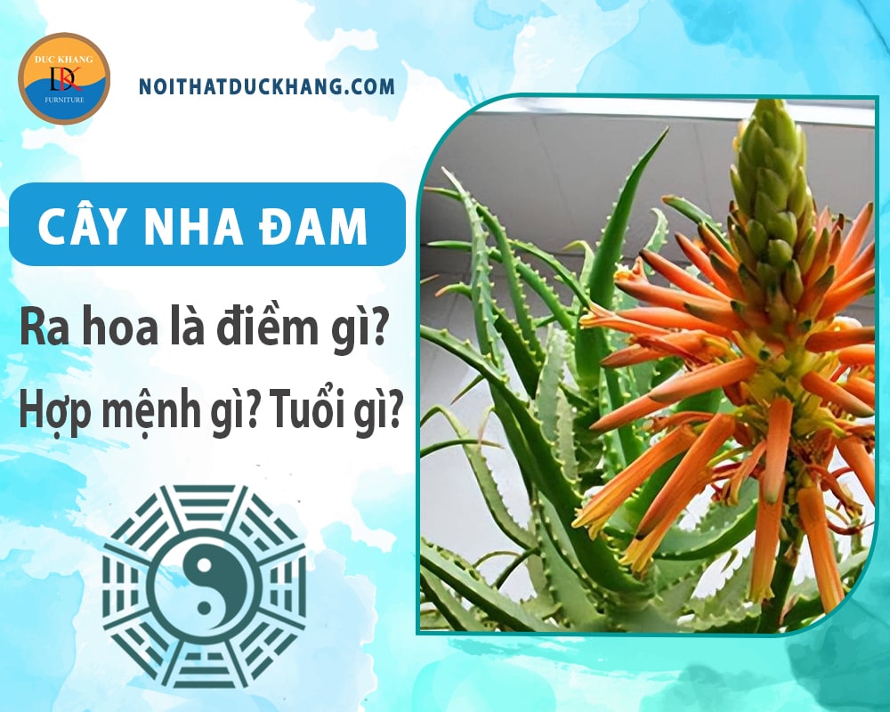 Cây Nha Đam Nở Hoa Có Ý Nghĩa Gì? Gallery 1