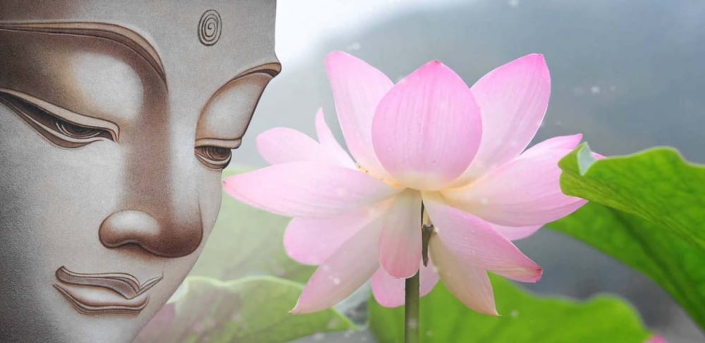 Hoa Sen Phật Giáo: Biểu Tượng Tinh Khiết và Giác Ngộ Gallery 1