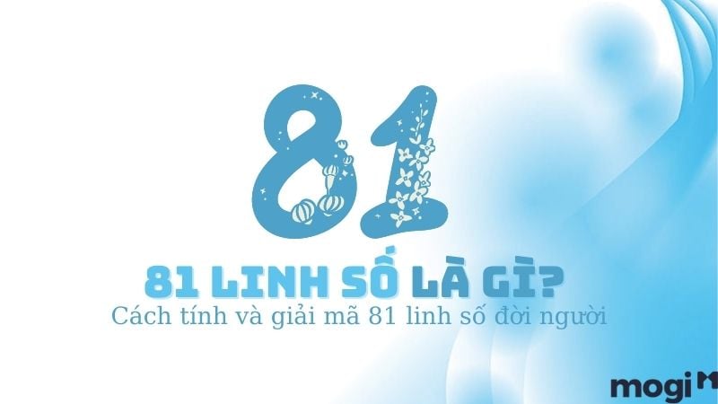 Số 81: Ý nghĩa, Bí ẩn và Sự Thật Gallery 1