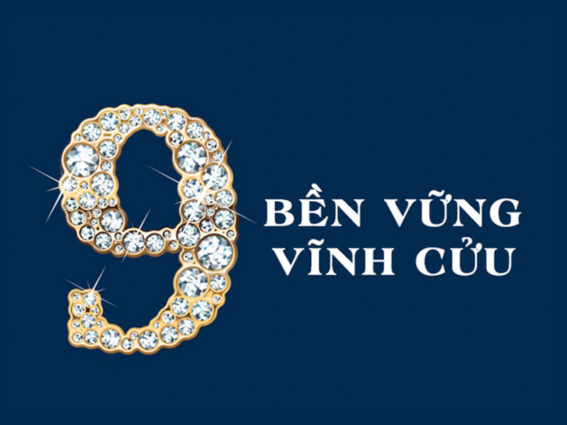 So Chin Là Gì? Ý Nghĩa Và Sự Thật Về Số 9 Gallery 1
