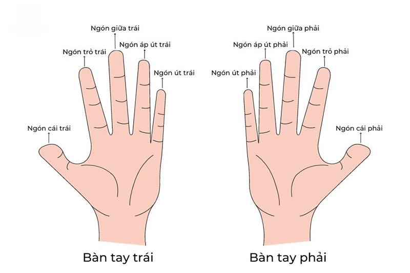 Tay Trái Nắm Tay Phải: Ý Nghĩa và Biểu Tượng Gallery 1