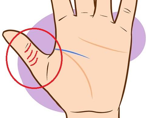 Ngón Tay Cái Có 3 Đốt Có Ý Nghĩa Gì?