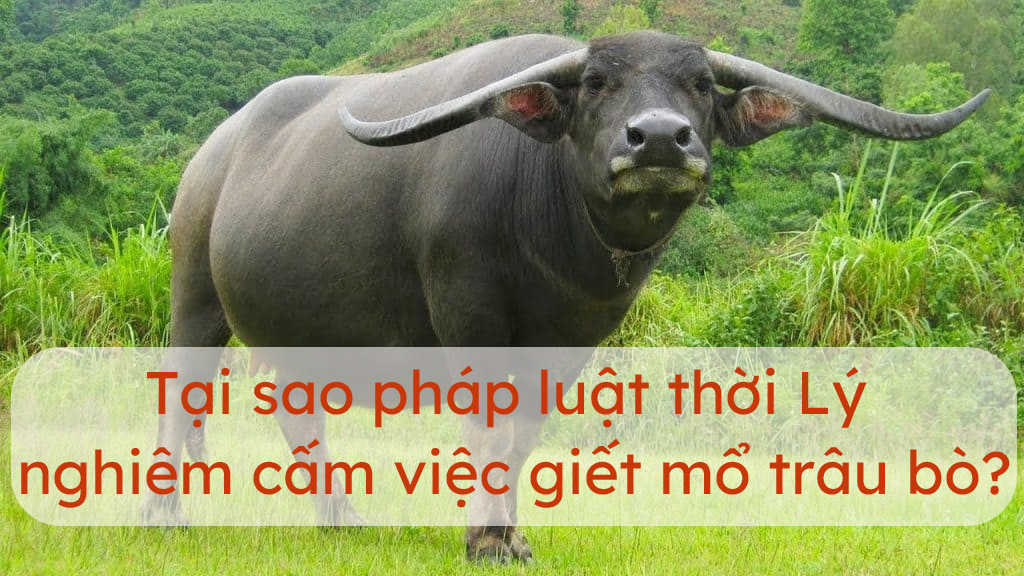 Tại sao pháp luật thời Lý nghiêm cấm giết mổ trâu bò? Gallery 2
