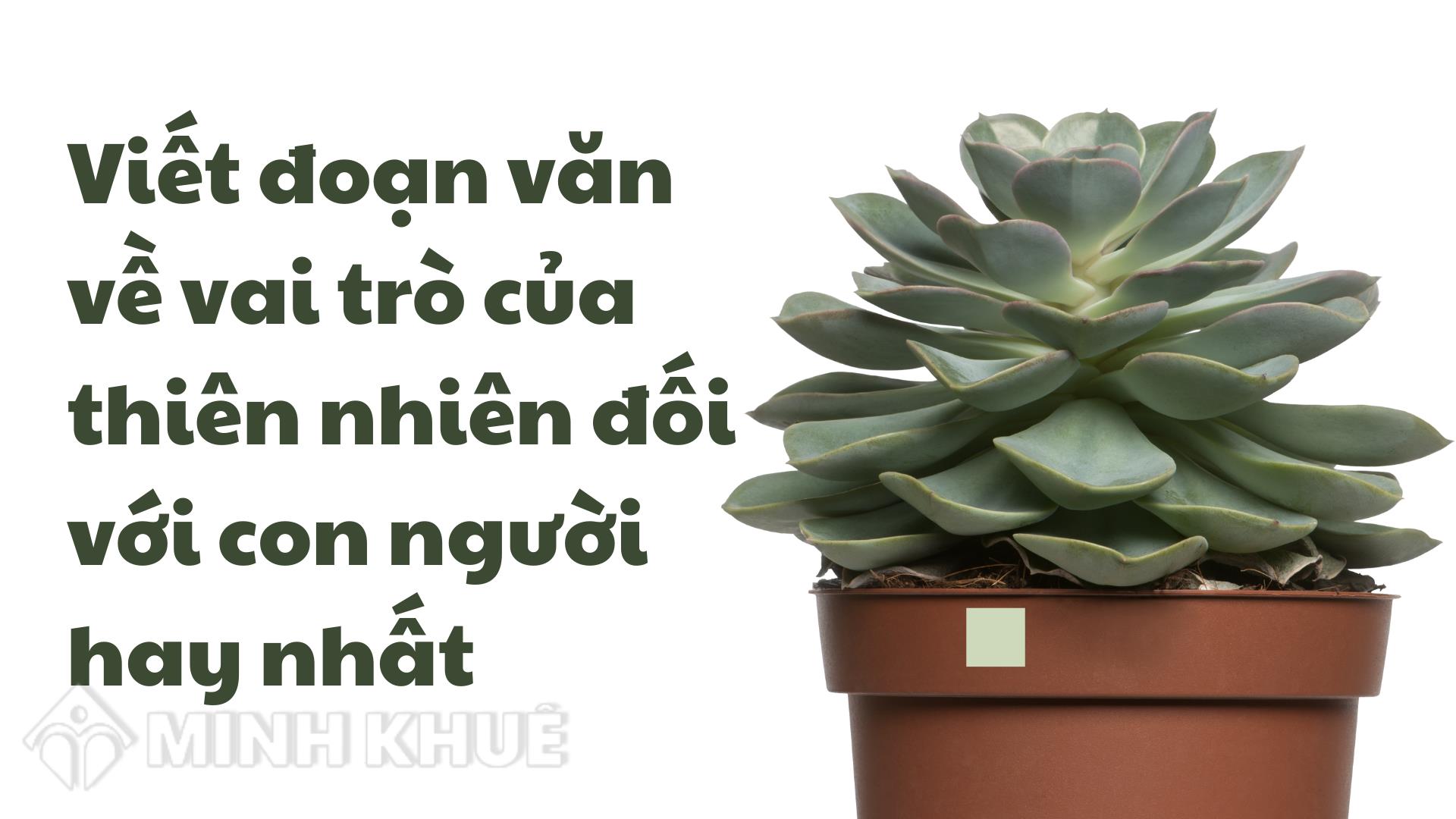 Nghị luận về Thiên nhiên: Vẻ đẹp, ý nghĩa và sự bảo vệ Gallery 2