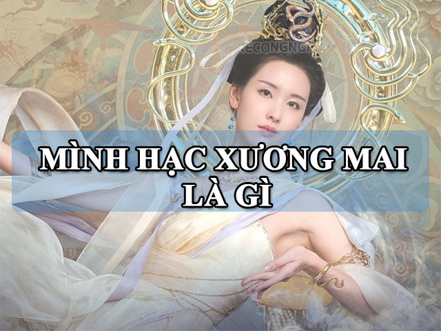 Tướng Phụ Nữ Mình Hạc Xương Mai: Ý Nghĩa và Vận Mệnh Gallery 1