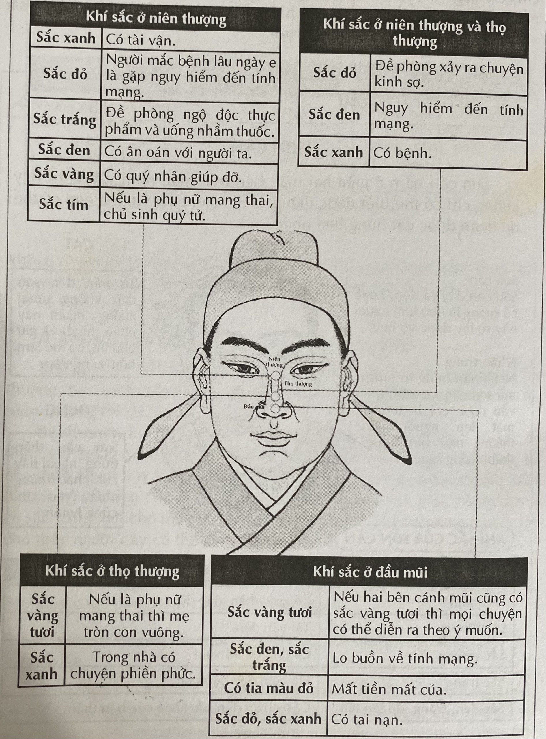 Sống Mũi Có Lằn Ngang Gallery 1
