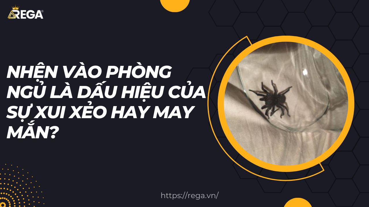 Sự tích con nhện: Nguồn gốc và ý nghĩa sâu sắc Gallery 2